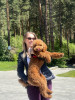Angelika - russian single girl, age 29, height 164 cm, photo 15